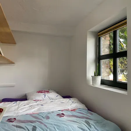 Shrinath Yog Temple Langenfeld (North Rhine-Westphalia)